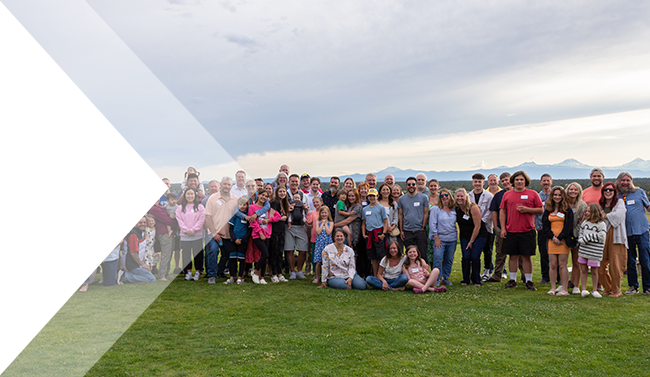 Meet the team