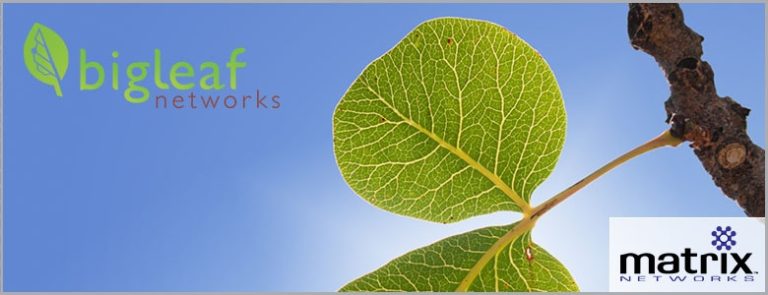 Bigleaf-and-Matrix